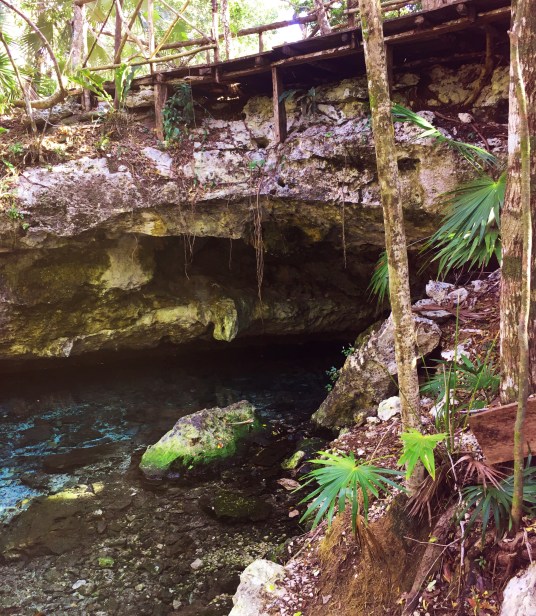 7C6F9767-D33E-4EBD-BBF2-1B2E6B9674F8